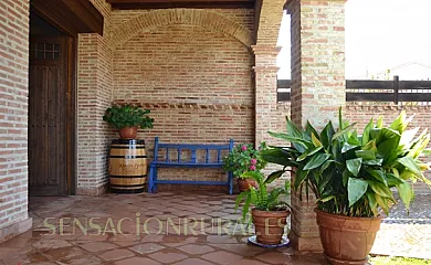 Doña Jara en Buenasbodas (Toledo) - Foto 21