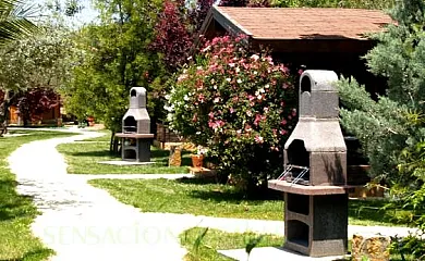 Complejo Rural Entre Viejos Olivos en Benicolet (Valencia) - Foto 6