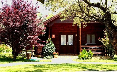 Complejo Rural Entre Viejos Olivos en Benicolet (Valencia) - Foto 7