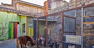 El Castillo de Celia 005