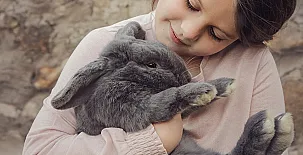 El Castillo de Celia 0037