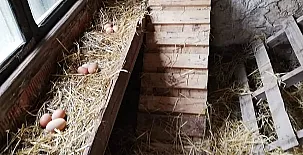 El Castillo de Celia 0049