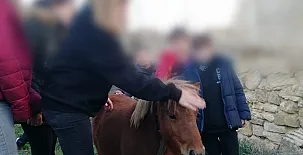 El Castillo de Celia 0053