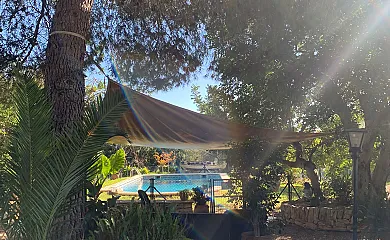 El Nostre Càntir en L´Ametlla de Mar (Tarragona) - Foto 20