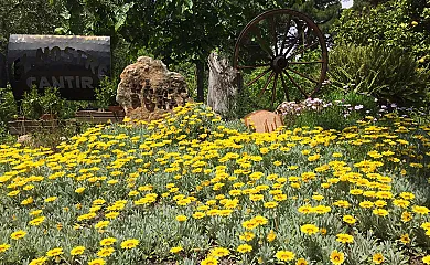 El Nostre Càntir en L´Ametlla de Mar (Tarragona) - Foto 24