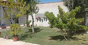 Alojamiento Turístico Alonso Quijano II 0012