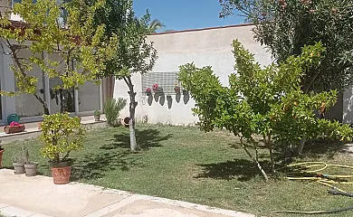 Alojamiento Turístico Alonso Quijano II en Argamasilla de Alba (Ciudad Real) - Foto 12