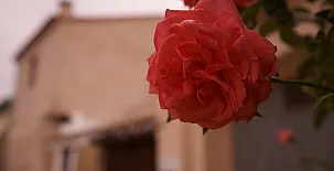 El Cau de Corcolilla - Villa Rural 0024