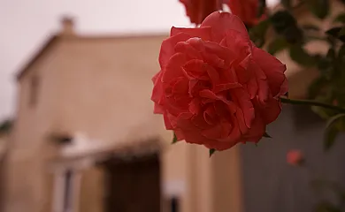 El Cau de Corcolilla - Villa Rural en La Yesa (Valencia) - Foto 24