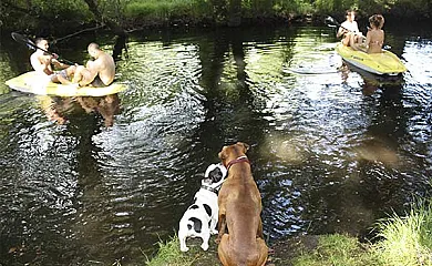 A Casa Da Terra en Antas de Ulla (Lugo) - Foto 21