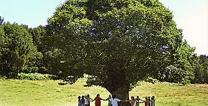 A Casa Da Terra 0025