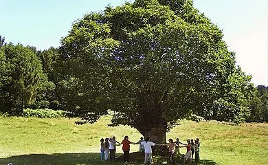 A Casa Da Terra en Antas de Ulla (Lugo) - Foto 25