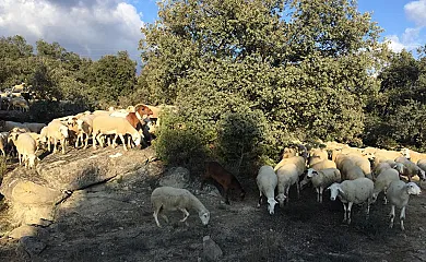 Casa Sarrau en Bellestar (Huesca) - Foto 22