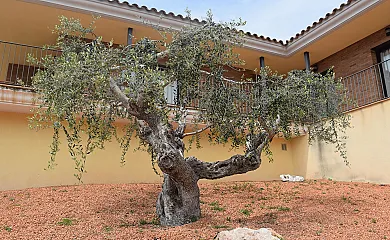 Casa Tico en Roda de Bará (Tarragona) - Foto 7