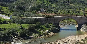 Venta Las Palomas 005