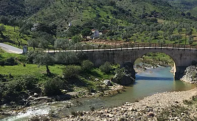 Venta Las Palomas en Almogia (Málaga) - Foto 9
