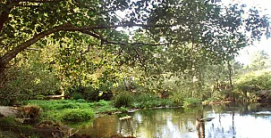 A Casa Da Terra 0035