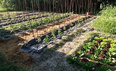 Masia Serret en Ager (Lleida) - Foto 6