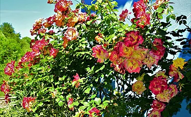 La Cabada en Cabranes (Asturias) - Foto 10