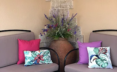 La Mica Real en Valdenoches (Guadalajara) - Foto 12