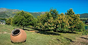 Casa rural La Casa de la Abuela 0011