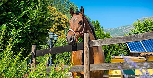 Casa rural La Casa de la Abuela 0014