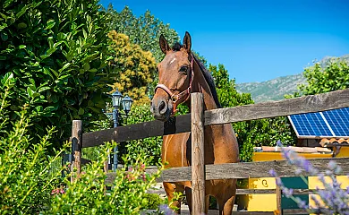 Casa rural La Casa de la Abuela en San Esteban Del Valle (Ávila) - Foto 14