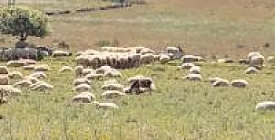 Casa Rural del Puerto de San Vicente 0058