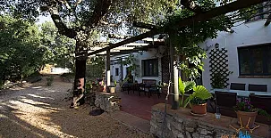 Finca La Tejonera 002