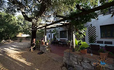 Finca La Tejonera en Alajar (Huelva) - Foto 2