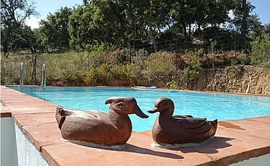 Finca La Tejonera en Alajar (Huelva) - Foto 1