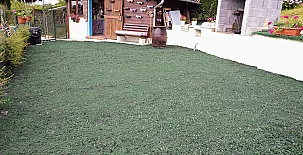 La Casa Azul I y II 0030