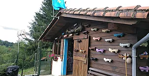 La Casa Azul I y II 004