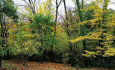 Finca La Liserilla en Galaroza (Huelva) - Foto 9