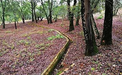 Finca La Liserilla en Galaroza (Huelva) - Foto 20