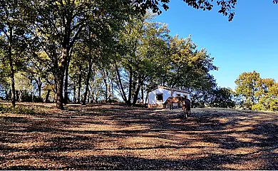 Finca La Liserilla en Galaroza (Huelva) - Foto 23