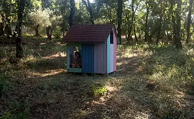 Finca La Liserilla en Galaroza (Huelva) - Foto 6