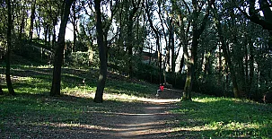 Can Menosa, Ca la Sastressa y El Graner 006