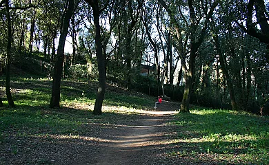 Can Menosa, Ca la Sastressa y El Graner en Sant Esteve de Guialbes (Girona) - Foto 6