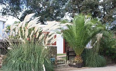 Molino El Mastral en Tarifa (Cádiz) - Foto 25