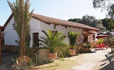 Finca El Abuelo en Barbate (Cádiz) - Foto 1