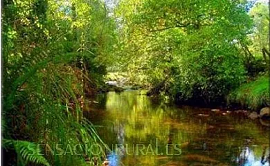 Casa Rural Llosa de Ibio en Ibio (Cantabria) - Foto 7