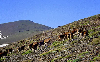 Molino Santa Águeda en Jerez Del Marquesado (Granada) - Foto 22