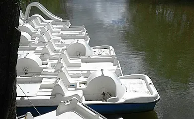 Hotel Rural Molino Grande del Duratón en San Miguel de Bernuy (Segovia) - Foto 14