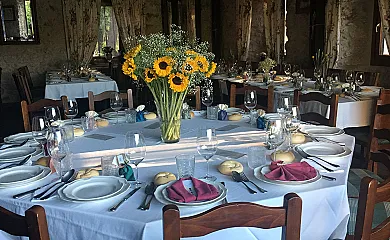 Hotel Rural Molino Grande del Duratón en San Miguel de Bernuy (Segovia) - Foto 17