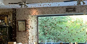 Hotel Rural Molino Grande del Duratón 0029