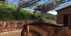 Finca el Tornero 005