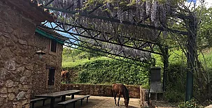 Finca el Tornero 0011