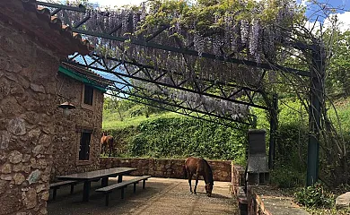 Finca el Tornero en Aracena (Huelva) - Foto 11