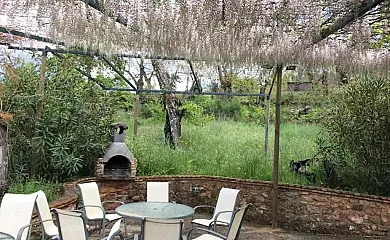 Finca el Tornero en Aracena (Huelva) - Foto 4